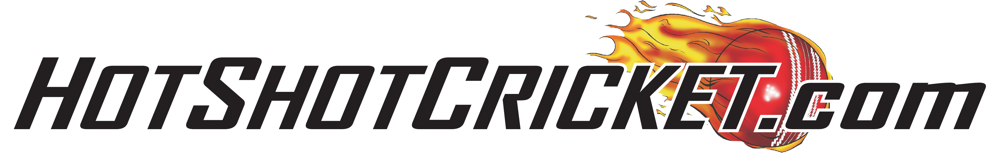 HotShotCricket.com